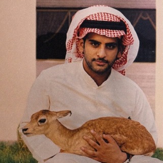 Telegram profile photo for رَاوي