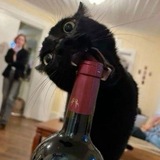 Telegram profile photo for professional time waster