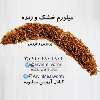 Telegram profile photo for آموزش پرورش میل ورم | فروش میلورم قزوین تهران کرج مازندران اصفهان شیراز گرگان قم کاشان تبریز زنجان رشت | سوپرورم جیرجیرک