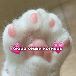 Telegram profile photo for 🌱Бюро Семьи Котиков🌱 | 𝐆𝐞𝐧𝐬𝐡𝐢𝐧𝐃𝐫𝐨𝐩