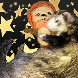 Telegram profile photo for сошины кассеты !