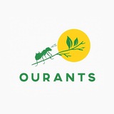 Telegram profile photo for OurAnts 🐜♥️