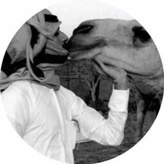 Telegram profile photo for بـﯡﯣحۡ📻بـدوي⚚♩ ٴ