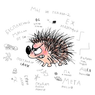 Telegram profile photo for Ёжик на асфальте