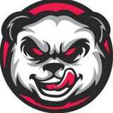 Telegram profile photo for Doza Traffic