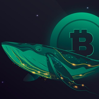 Telegram profile photo for Whale Lounge Callsπ