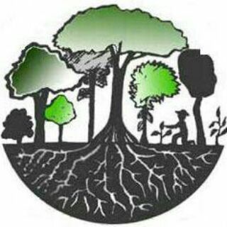 Telegram group profile photo for Permacultura e Agrofloresta