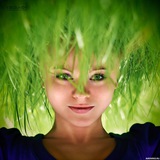 Telegram profile photo for ЗЕЛЕНЫЙ ДОМ| цветы и растения