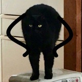 Telegram profile photo for Персонажи Виджика 2