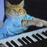 Telegram profile photo for $KEYCAT - Keyboard Cat - Entry