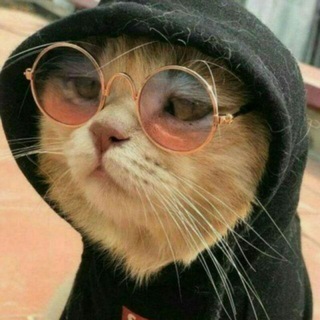 Telegram profile photo for Server 4 SALE