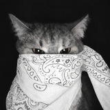 Telegram profile photo for πππ«π¨ π½ππ£π . . .