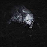 Telegram profile photo for 𝐺𝑈𝑅𝐺𝐴𝐿𝐴𝑇 ˢᵞᴬˢᴱ