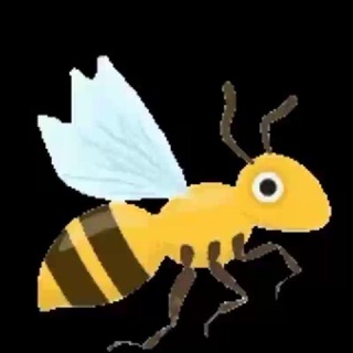 Telegram profile photo for Cryptobeecoin