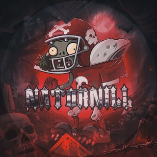 Telegram profile photo for NATORNILL / Zarabotok / Заработок