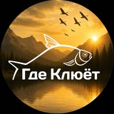 Telegram profile photo for ГДЕ КЛЮЕТ | РЫБАЛКА