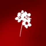 Telegram profile photo for БОГОВСКИЙ