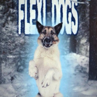 Telegram profile photo for Flexi dogsᴼᶠᶠ