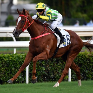Telegram profile photo for 「必勝百家樂心法」⚽波馬🐴貼士群