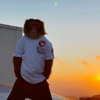 Telegram profile photo for Vorxic проникает в крипту