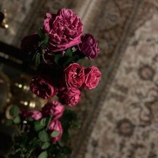 Telegram profile photo for غيضٌ من فَيض 
