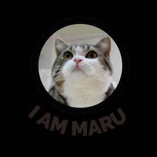 Telegram profile photo for I am Maru Portal (ETH)