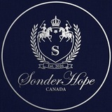 Telegram profile photo for SonderHope|Horse For Sale