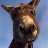 Telegram profile photo for RICH PEOPLE