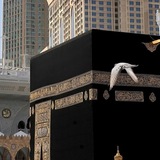 Telegram profile photo for سَلـوة