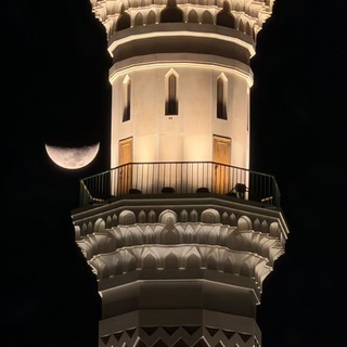 Telegram profile photo for غُصن