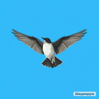 Telegram profile photo for Fly