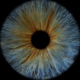 Telegram profile photo for Đ-ŽΞN