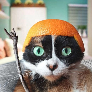 Telegram profile photo for Конфиги на бета тест метро