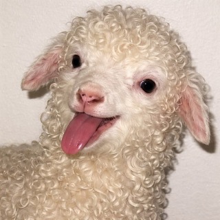 Telegram profile photo for артхаус мем картинки