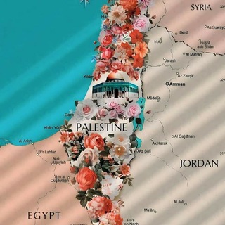 Telegram profile photo for دراسات اجتماعيه مس عبير عبدالعزيز 🌎