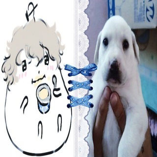 Telegram profile photo for ОЛЕГ СЫР П####А #жірніемолочніещенята