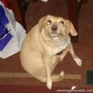 Telegram profile photo for Меми/пикчи Для ВП