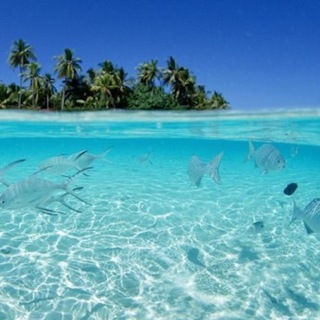 Telegram profile photo for Aruba