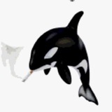 Telegram profile photo for 🚬Курящая косатка