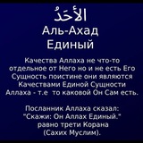 Telegram profile photo for Исмаил мушрик к нему не причастен