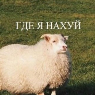 Telegram profile photo for ебейшие статусы на каждый день