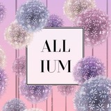 Telegram profile photo for 🌸 𝔸𝕃𝕃𝕀𝕌𝕄 🌸