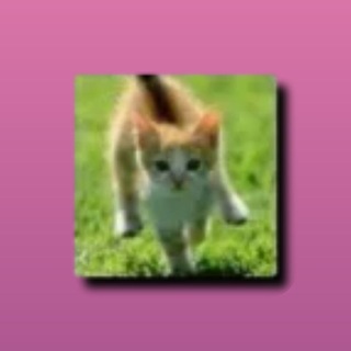 Telegram profile photo for Books Max Voronov