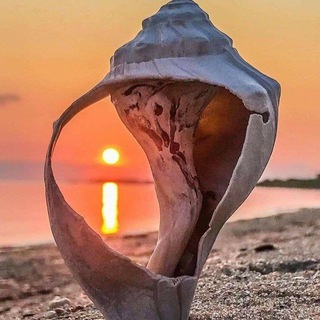 Telegram profile photo for 🕊️ ХРАМ ДУШИ 🕊️