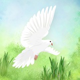 Telegram profile photo for Die Amperfeen