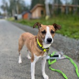 Telegram profile photo for сумашедшие