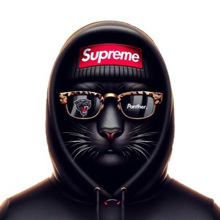 Telegram profile photo for Panther’s Call