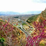 Telegram profile photo for ایلام ارغوانی
