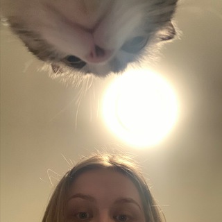 Telegram profile photo for янчи
