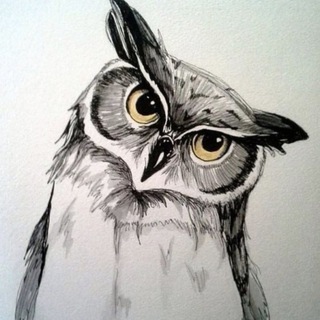 Telegram profile photo for 🦉Owl-Blog🔥 Заработок в интернете✅